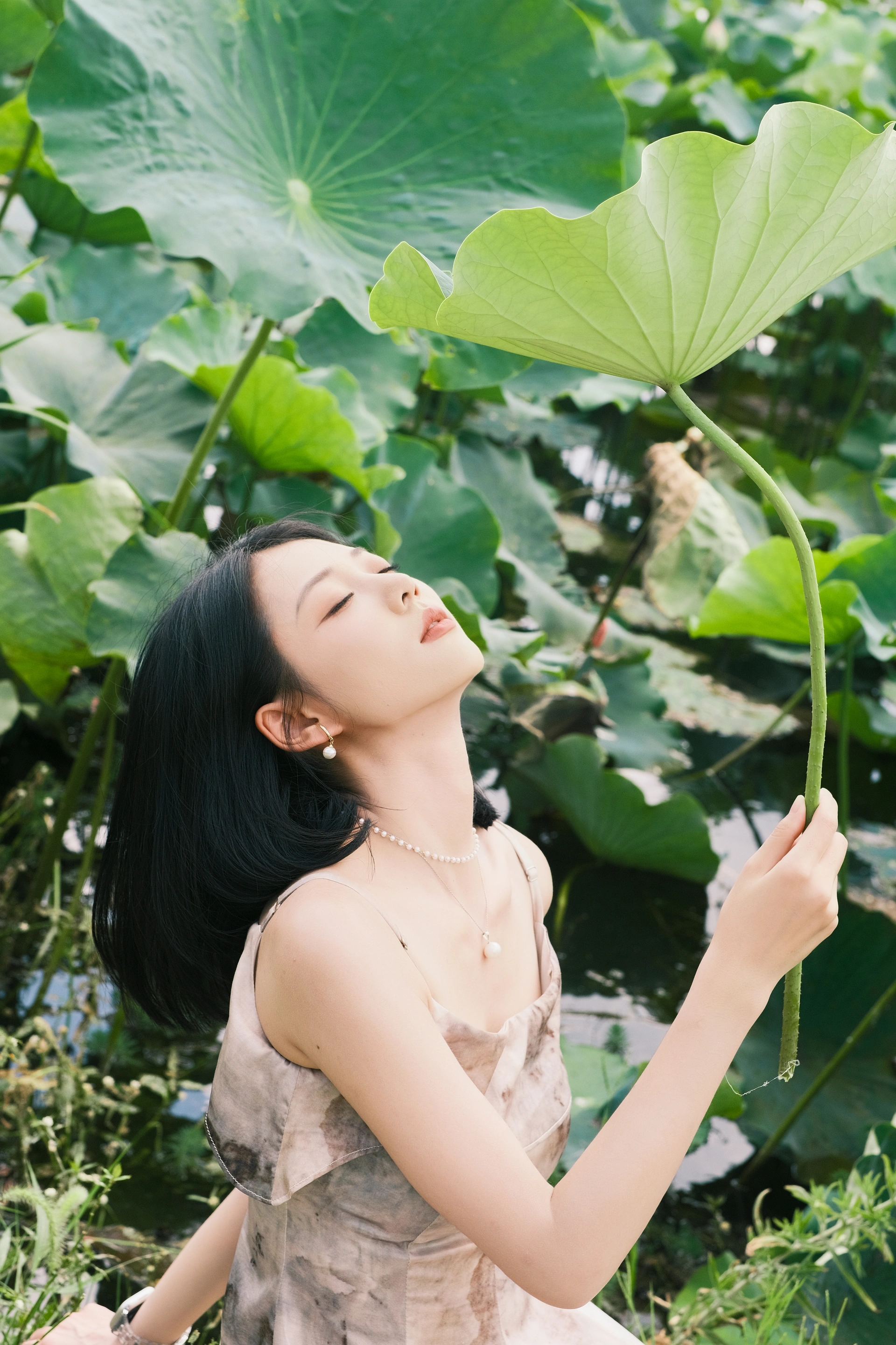 [YITUYU艺图语]2025.02.19 那年夏荷 李悦 2